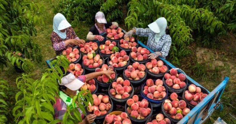 1662384134159377.jpg