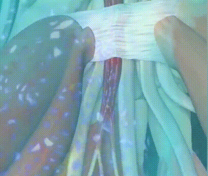 1777229774448587.gif
